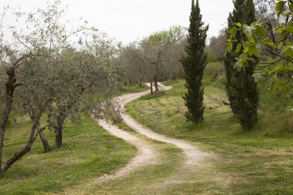 Agriturismo Borgo Personatina Sovicille Ngoại thất bức ảnh