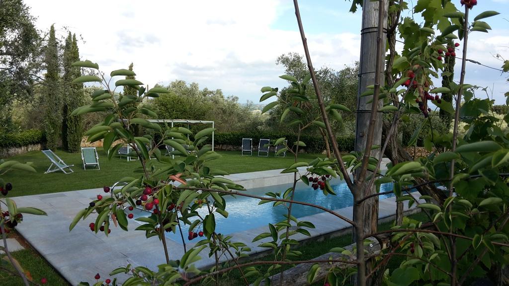 Agriturismo Borgo Personatina Sovicille Ngoại thất bức ảnh